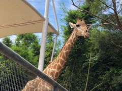 -泉州海丝野生动物世界