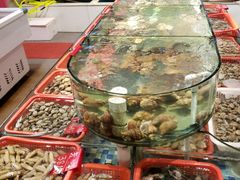 -船奇蒸汽海鲜·闽菜(八市海鲜总店)