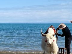 -青海湖国家重点风景名胜区
