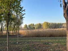 -东郊湿地公园