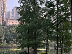 -重庆彩云湖湿地公园