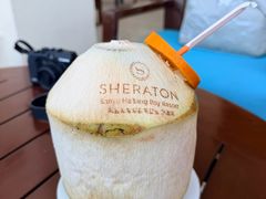 -三亚海棠湾喜来登度假酒店大堂吧