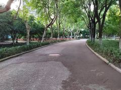 -金陵中学(河西分校)