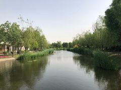 -武清南湖绿博园