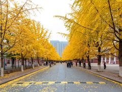 -辽宁大学(崇山校区)