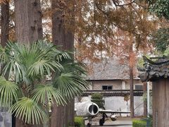 -枫泾古镇-人民公社旧址