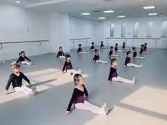 -西安小天鹅艺术团(金花路校区)