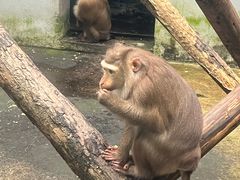 -保定市动物园