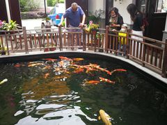 -华庭苑农家乐(旺山店)