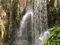 -华南国家植物园-售票处