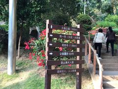 -仙岳公园