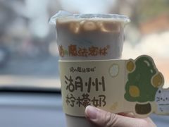 柠檬奶-猫的魔法密林(衣裳街店)