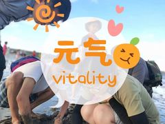 -南汇新城海滩