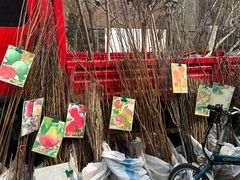 -中环花鸟鱼虫市场