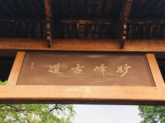 -阳台山自然风景区