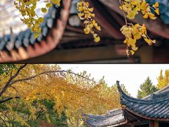 -北寺塔