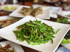 -孔庆璞河豚馆(白玉兰酒店)