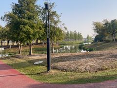 -春花秋色城市公园