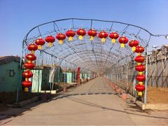 集发农业观光园-北戴河集发农业梦想王国
