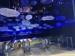-盒马X会员店(上海森兰商都店)