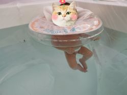 -爱帝宫月子中心(罗湖别墅院)