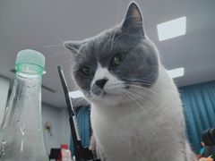 -红军龙虾(河柏街店)
