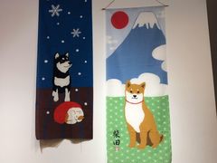 -柴迷FANS CLUB·柴犬狗咖·猫咖