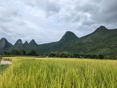 -万峰林风景区