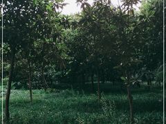 -河南省黄河迎宾馆