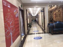 -碧莲盛·不剃发植发