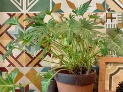 -时光花园(白鹭洲店)