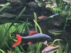 -太平洋海底世界