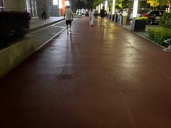 -极真空手道修远道场