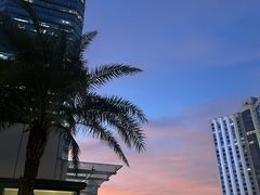 -威克健身游泳(万菱汇店)