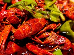 -京悦南门涮羊肉·羊蝎子火锅(田林路店)