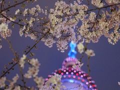 -东方明珠广播电视塔