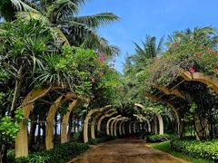 -海南清水湾莱佛士酒店