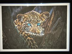 -罗红摄影艺术馆