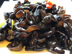 彩蔬黑木耳-百家班(市府店)