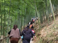 -藏龙百瀑风景区