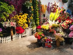 -大自然花鸟鱼虫市场