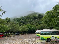 -雁南飞茶田景区