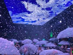 -M-MIX电音烤吧