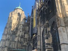 -斯蒂芬主教座堂(Stephansdom)