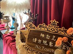 -雪灵魔法世界SHELLY’S TAROT(大良桂畔里店)