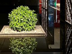 -南京金陵饭店