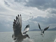 -滇池海埂公园