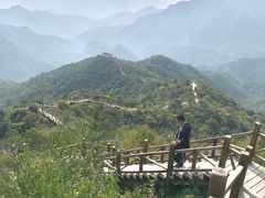 -大岭沟猕猴桃谷风景区