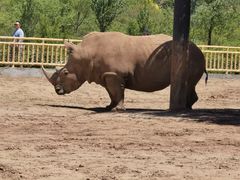 -鄂尔多斯野生动物园