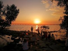 -宝安西湾红树林湿地公园